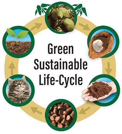 FOR ENVIRONMENTALLY CONSCIOUS PET OWNERS Hundreds of ...