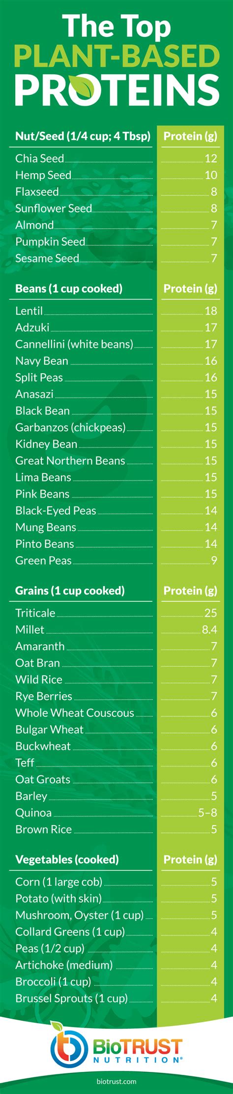 What Is A High Protein Plant Based Diet A Beginners Guide Biotrust