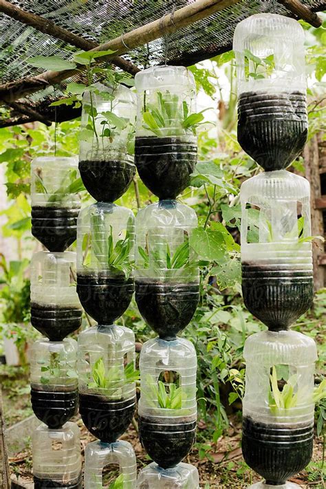 Gardening Bottle 19 Diy Recycled Plastic Gardens You Would Love