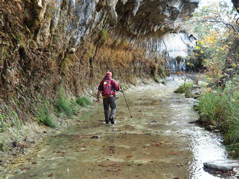 10 Great Hikes for Texas Nature Lovers | Hiking in texas, Hiking places