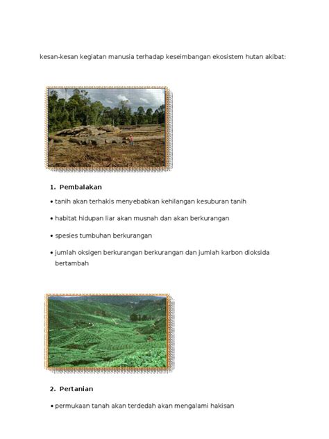 Penebangan hutan secara liar saat ini sedang marak terjadi di beberapa wilayah di indonesia, terutama di daerah kalimantan. Kesan Kegiatan Manusia Terhadap Keseimbangan Ekosistem ...