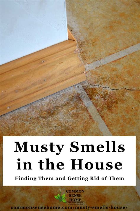 How To Get Rid Of Mildew Smell Carpet Tutorial Pics