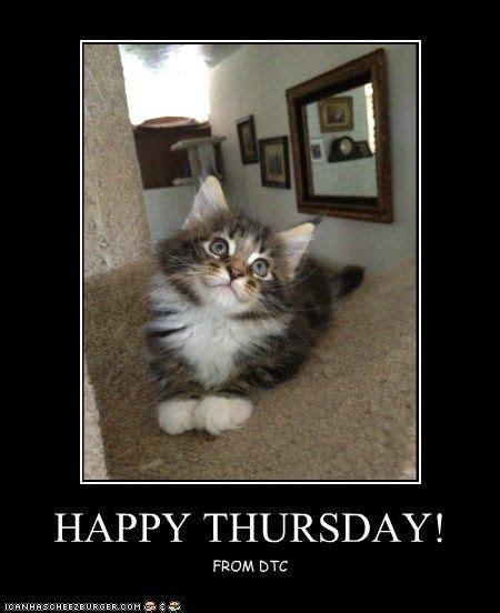 7 Best Happy Thursday Fur Babies Images On Pinterest