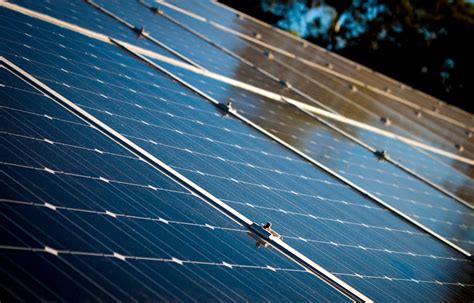 What Are Solar Cells Everything You Wanted To Know