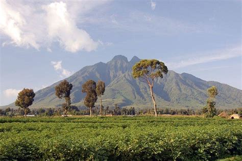 Volcanoes National Park Rwanda Activities Things To Do In Parc