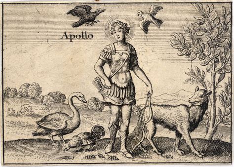 Greek Gods Greek God Apollo Apollo Greek