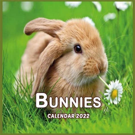 Bunnies Calendar 2022 16 Month Calendar 2022 2023 For Women Men Kids