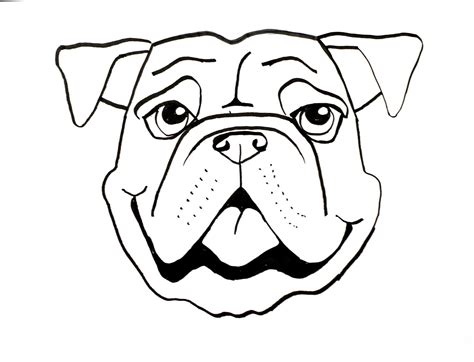 Animals Faces Drawing At Getdrawings Free Download
