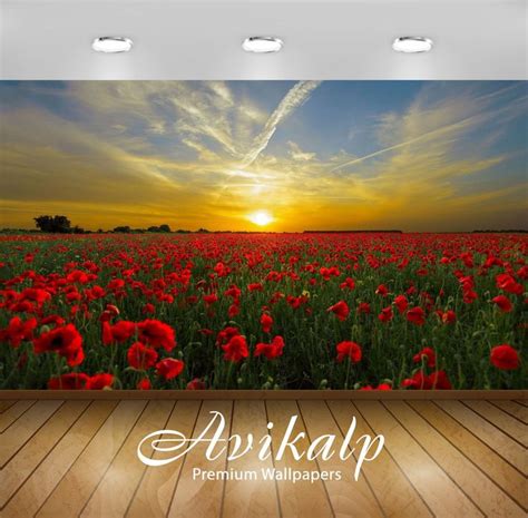 Avikalp Exclusive Awi2890 Orange Sunset Field With Red Poppies Nature