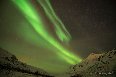 Northern Lights 13th January Tracey Hind Flickr