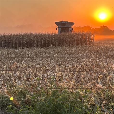 Bradford Grain | Chanute KS