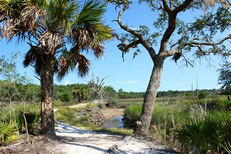 Skidaway Island State Park Official Georgia Tourism And Travel Website