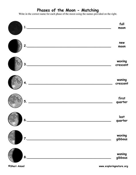 Moon Phases Worksheet Printable Use Pdfs Below For Printing Out