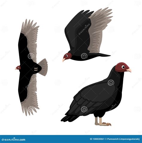 Turkey Vulture Cartoon Poses Vector Illustration Stock Vector