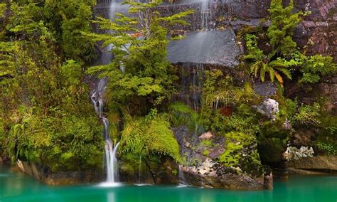 Chile Patagonia Waterfall Ferns River Shrubs Turquoise Moss Water