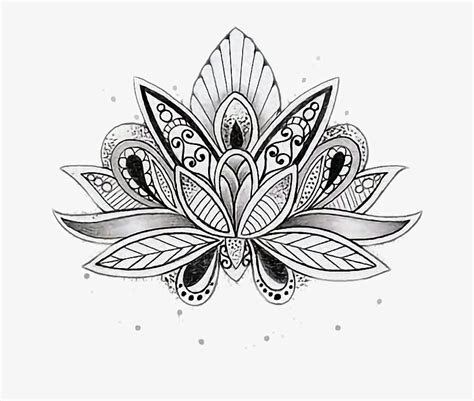 Mandalas Mandala Dibujo Tattoo Tato Lotus Mandala Coloring Pages Png