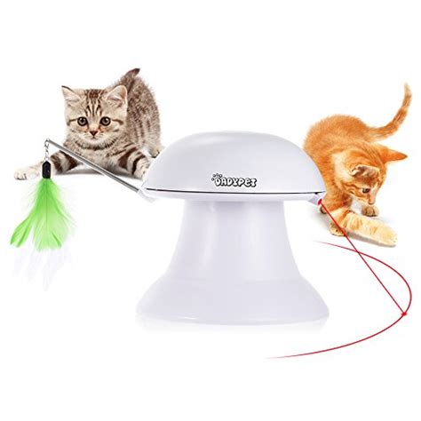 Ich habe ein großes problem! Katze pinkelt in die Wohnung - Was tun? - Wohnungskater.de