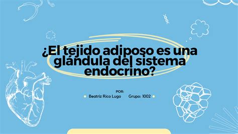 Solution El Tejido Adiposo Es Una Gla Ndula Del Sistema Endocrino