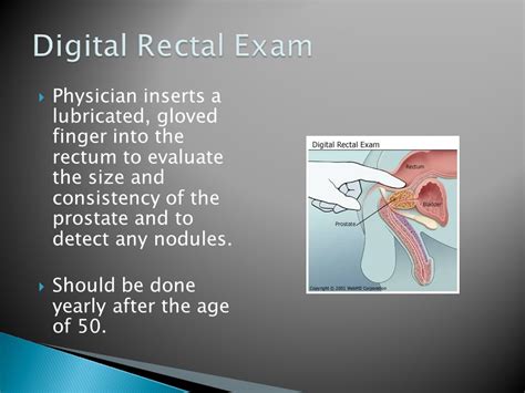 Itching In The Rectal Area Why Does My Anus Itch 15 Causes Of Anal