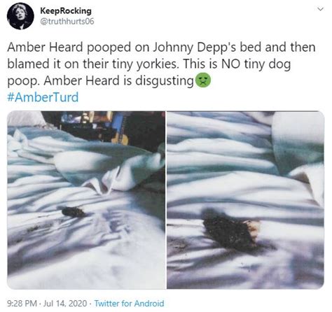 Depp Vs Heard Hell Amber Heard Is A Lying Dog Faced Pony Soldier Page
