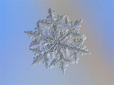 Snowflake is a go package that provides. Snowflake macro photo - 13 February 2017 - 3 Photograph by ...