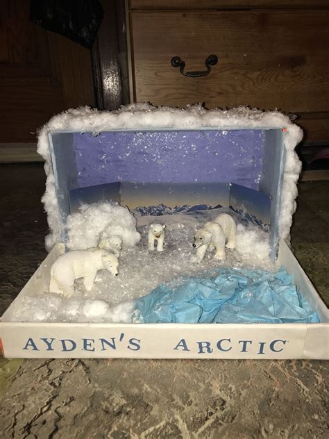 Arctic Diorama ️ Diorama Kids Projects For Kids Habitats Projects