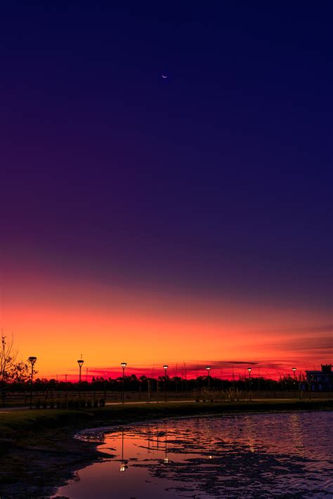 Purple Evening Sky Above Lake Shore · Free Stock Photo