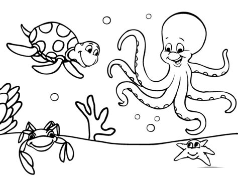 970 Koleksi Gambar Binatang Laut Kartun Hd Terbaik Gambar Hewan