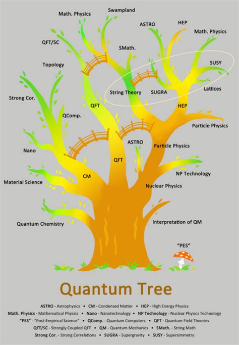 The Map Of High Energy Physics And The Quantum Tree Taken From 2