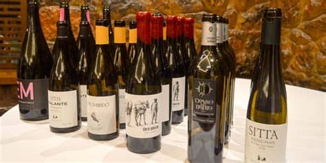 קרא חוות דעת על ‪casa jesusa asturias‬. Los vinos de Casa Gerardo en Asturias - Vinowine