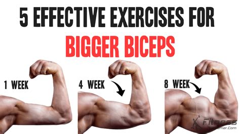 Exercises That Will Make Your Biceps Bigger Eoua Blog