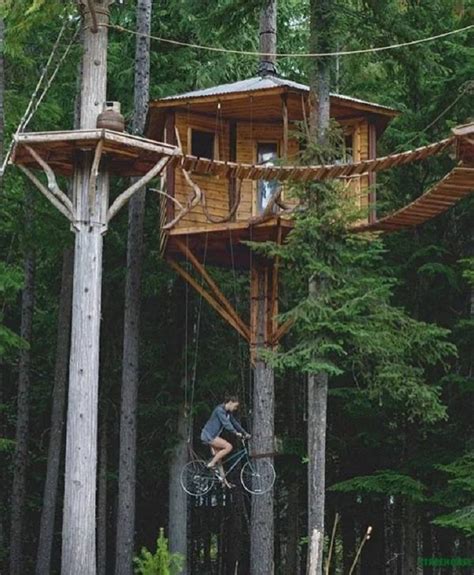 15 Charming Tree Houses For A Peaceful Getaway