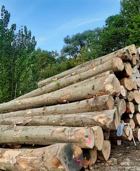 IWT- Achat de bois sur pied