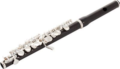 Wem das plastikmundstück nicht gefällt, muss sich statt dessen eine penny whistle nach bauart des vorletzten jahrhunderts besorgen, aber die klingt. Présentation instrument de musique à vent