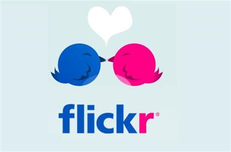 Последние твиты от flickr (@flickr). Faça Seus Negócios Brilharem com o Flickr - Empresas e ...