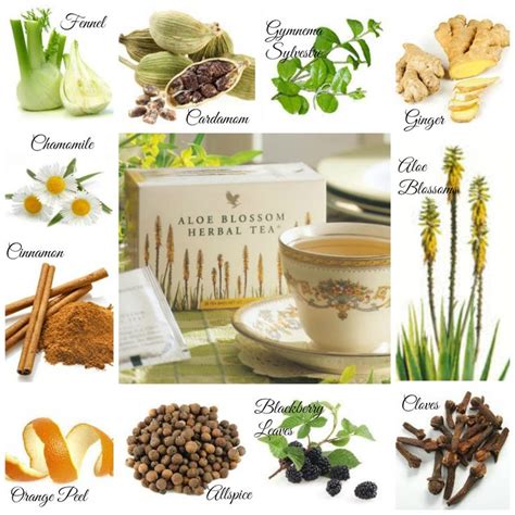 Benefits of aloe blossom herbal tea. verwarm u en blijf gezond met Forever Living Aloe Blossom ...