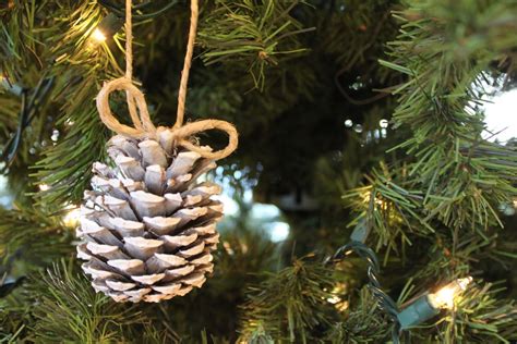 They can be as plain or fancy as you like. do it yourself divas: DIY: Snow Pinecone Ornament