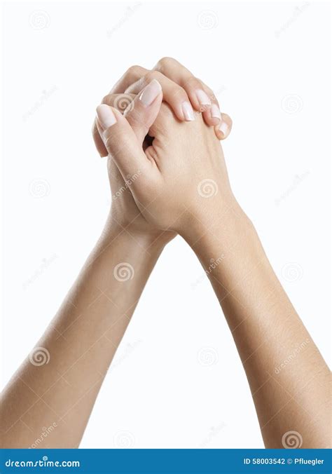 Folded Hands Stock Photo Image Of Hands Hold Clasped 58003542
