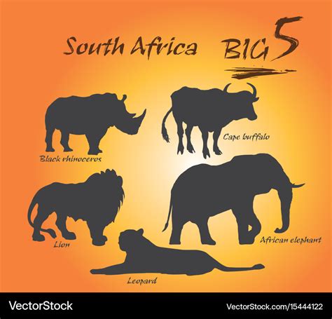 South Africa Big Five Colour In
