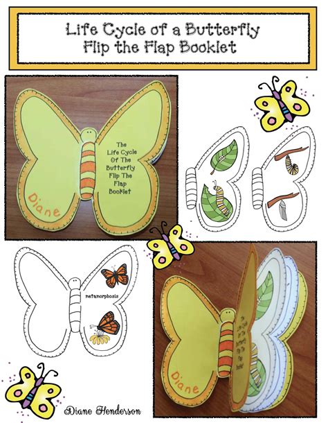 The Life Cycle Of A Butterfly Activities Hungry Caterpillar Craft