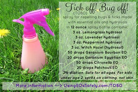 Tick Off! Bug Off! (TOBO) - spray for repelling bugs and ticks made ...