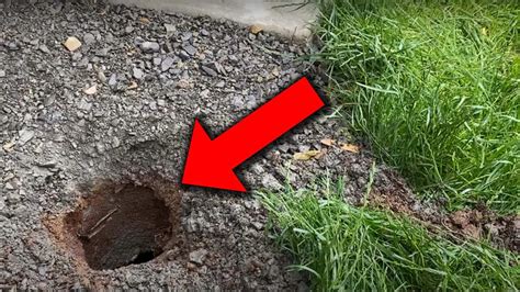 Mystery Hole Appeared In My Backyard What Is Inside