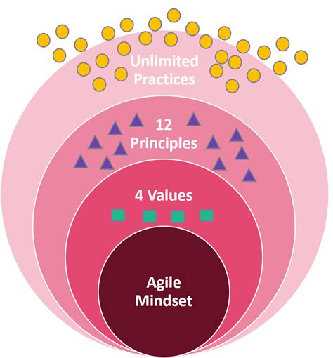 Neuroscience For Agile Leadership Behavior Belief System Agile