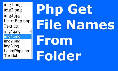 Php How To Get Show Files Names From Folder Using Php With Source