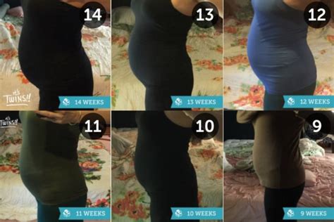 pregnant belly progression telegraph
