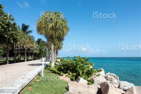 Miami Beach Park Stock Photo Download Image Now Bay Of Water Beach