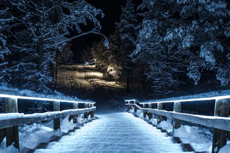 Free Photo Winter Night Bokeh Dark Glow Free Download Jooinn