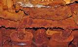 Pictures of Undercarriage Rust Repair