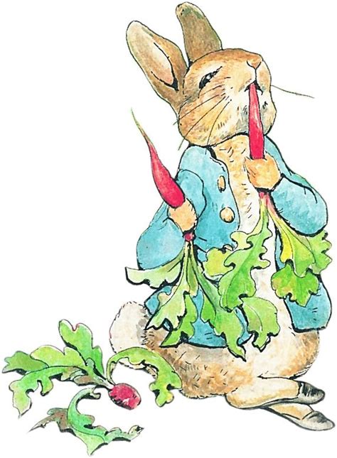 Clipart Peter Rabbit 10 Free Cliparts Download Images On Clipground 2024