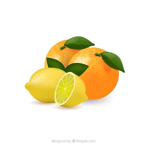 Lemon And Orange Vector Art Vector Free Download